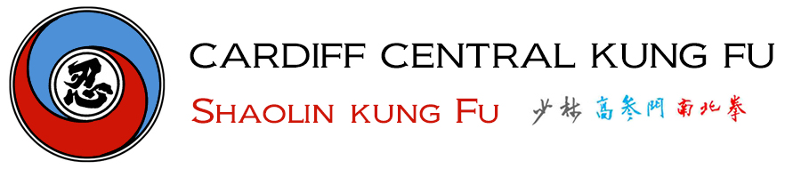 Cardiff Central Kung Fu
